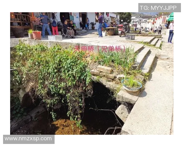 韩国足球队申姓球星的崛起与挑战 逐梦之路的背后故事